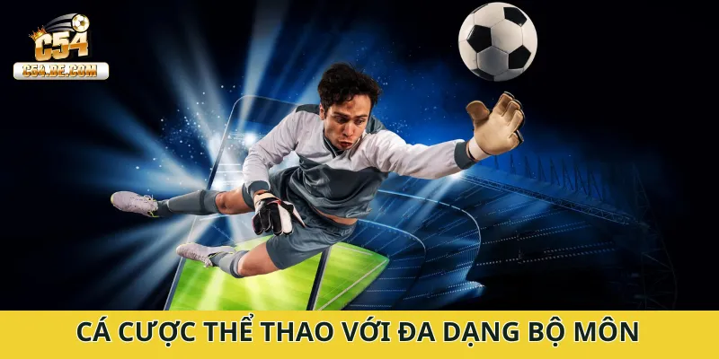 Cá cược thể thao với đa dạng bộ môn