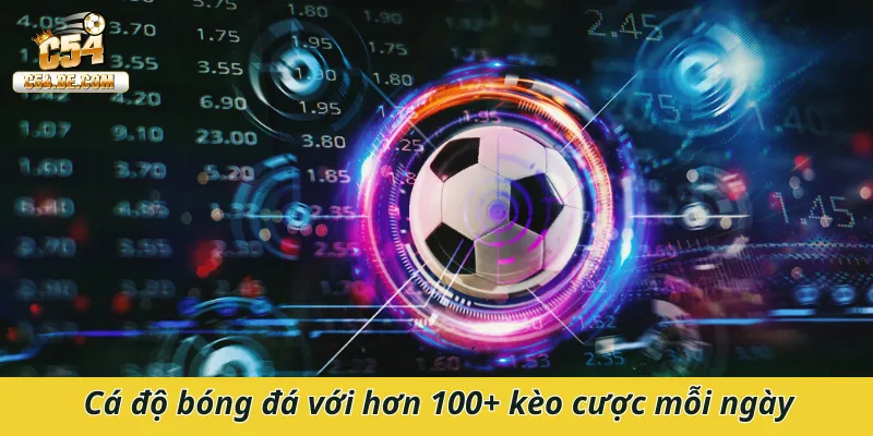 Cá độ bóng đá với hơn 100 kèo cược mỗi ngày