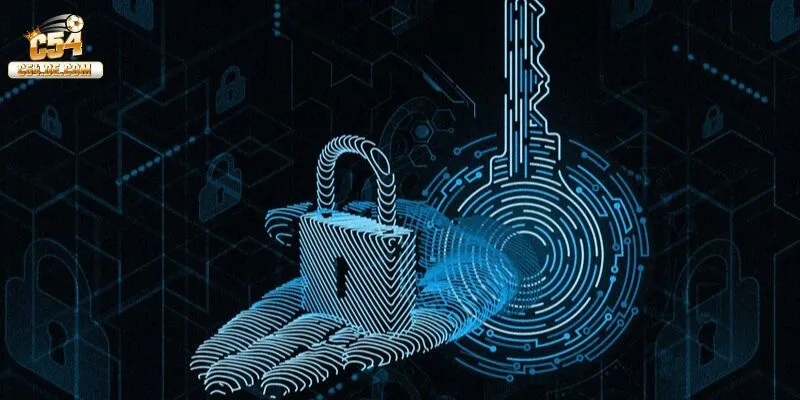 Mục cơ bản tại quyền riêng tư 