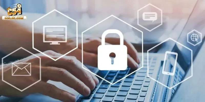 Sử dụng thông tin dữ liệu