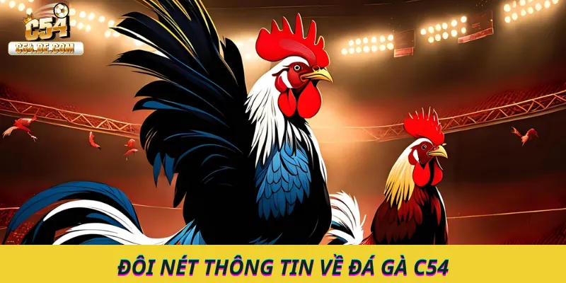 Tìm hiểu thông tin về đá gà C54